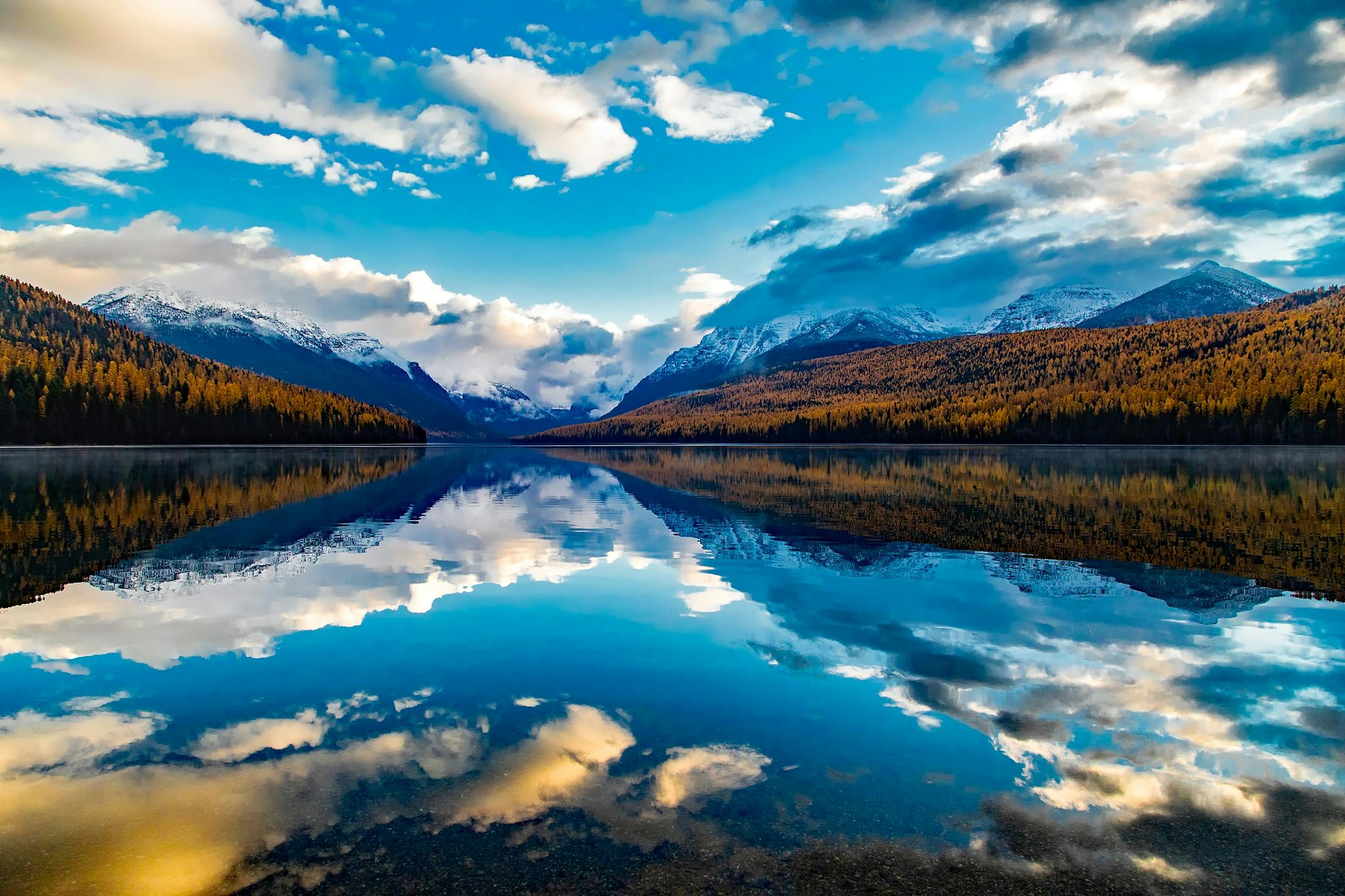 Celebrating Montana Day: Adventures with Your Dog in the Big Sky Country!